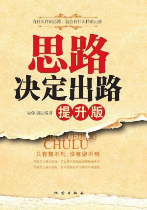 Cover of the book 思路决定出路 (提升版) by David MacKay