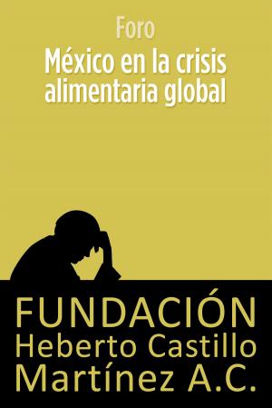 Cover of the book México en la crisis alimentaria global by Fundación Heberto Castillo Martínez AC, Luis Villoro