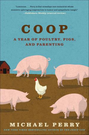 Cover of the book Coop by Tamar Myers