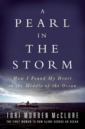 Cover of the book A Pearl in the Storm by Alafair Burke