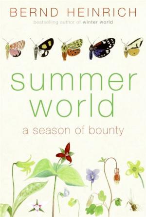 Cover of the book Summer World by Buster Olney