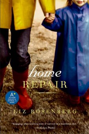 Book cover of Home Repair