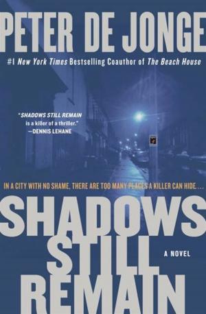 Cover of the book Shadows Still Remain by Nan Lu, Ellen Schaplowsky