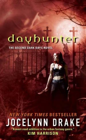 Cover of the book Dayhunter by Bill Fawcett