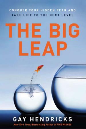 Cover of the book The Big Leap by Rob Bell