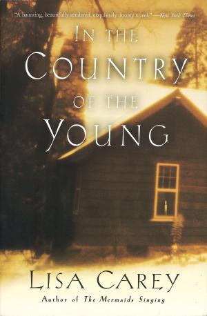 Cover of the book In the Country of the Young by Joyce Carol Oates