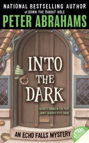 Cover of the book Into the Dark by Peter Lerangis