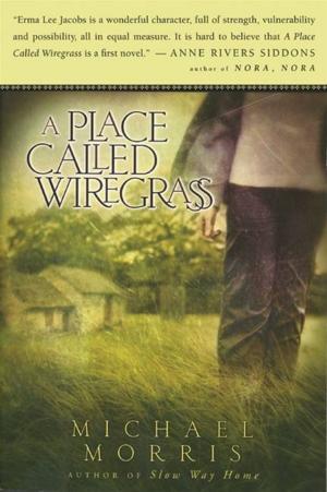 Book cover of A Place Called Wiregrass