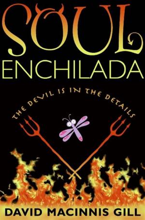 Cover of the book Soul Enchilada by Muga Komekinhamuga