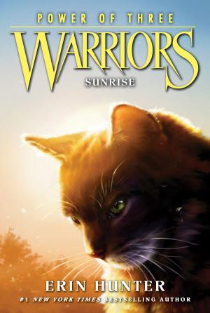 Book cover of Warriors: Power of Three #6: Sunrise