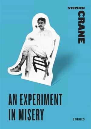 Cover of the book An Experiment in Misery by Daniel Burrus