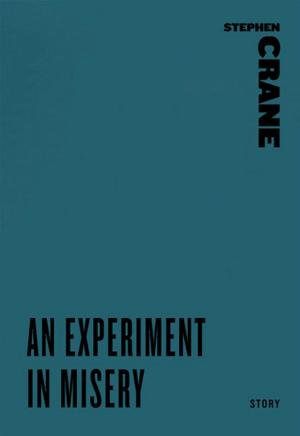 Book cover of An Experiment in Misery