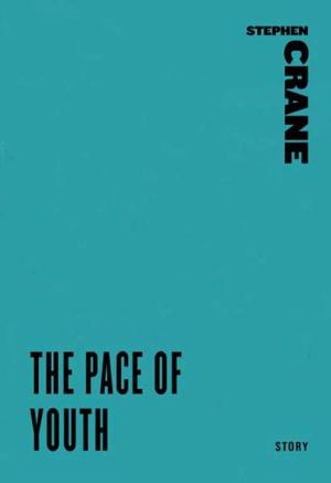 Cover of the book The Pace of Youth by Declan Hughes