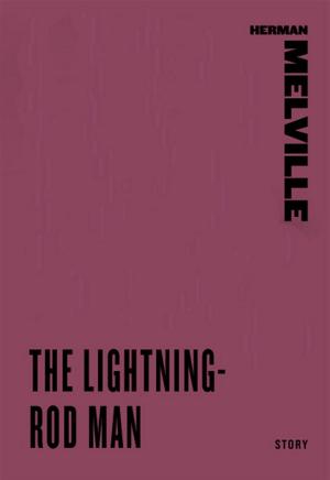 Cover of the book The Lightning-Rod Man by Bob Greene