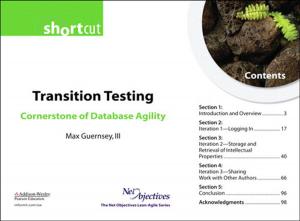 Cover of Transition Testing