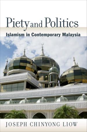 Cover of the book Piety and Politics by David J. Rothenberg