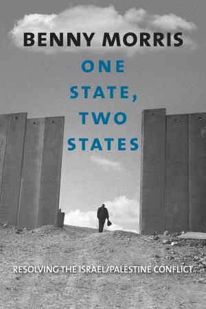 Cover of the book One State, Two States by Stephen Marlowe