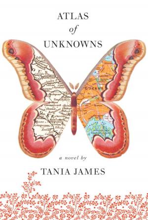Cover of the book Atlas of Unknowns by Geoff Dyer