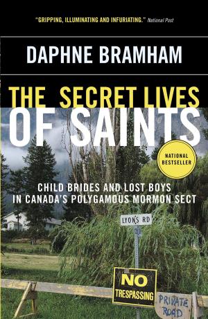 Cover of the book The Secret Lives of Saints by Howard Shrier