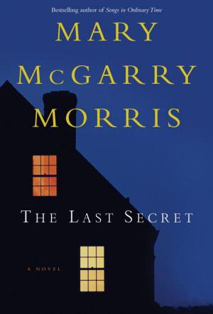 Book cover of The Last Secret