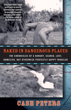 Cover of the book Naked in Dangerous Places by Melissa Diagana