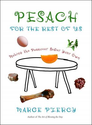 bigCover of the book Pesach for the Rest of Us by 