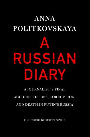 Cover of A Russian Diary