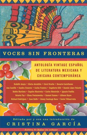 Cover of the book Voces sin fronteras by Glen David Gold
