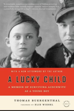 Cover of the book A Lucky Child by Robb Forman Dew