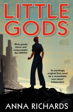 Cover of the book Little Gods by Angela Hart
