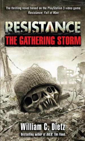 Cover of the book Resistance The Gathering Storm by Christine Carter, Ph.D.