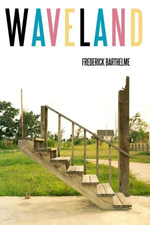 Cover of the book Waveland by Macy Halford
