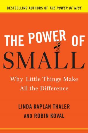 Book cover of The Power of Small
