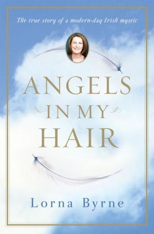 Book cover of Angels in My Hair