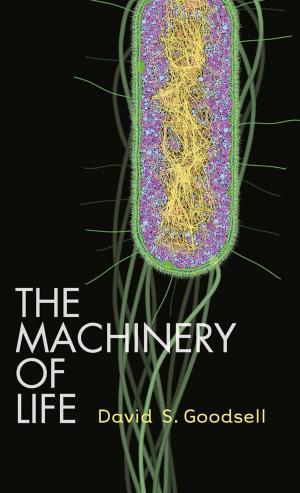Cover of the book The Machinery of Life by Ana M. Barbancho, Isabel Barbancho, Lorenzo J. Tardón, Emilio Molina