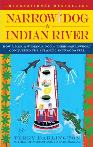 Cover of the book Narrow Dog to Indian River by Anne Perry