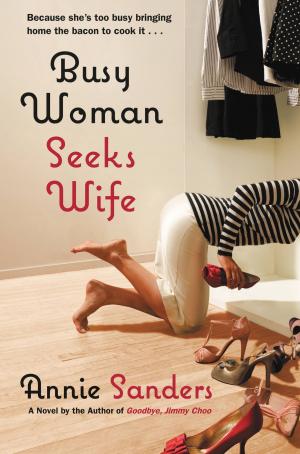 Cover of the book Busy Woman Seeks Wife by J. V. Jones