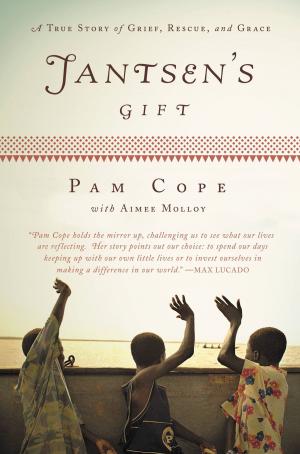 Cover of the book Jantsen's Gift by Jordan E. Goodman