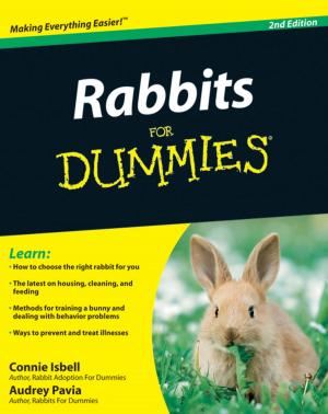 Cover of the book Rabbits For Dummies by Kai Wang, Sheng Liu, Xiaobing Luo, Dan Wu