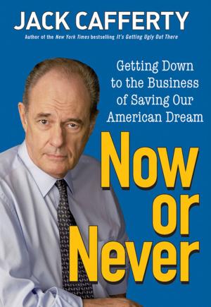 Cover of the book Now or Never by Lawrence Schimel