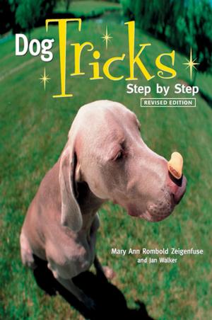 Cover of the book Dog Tricks by Rabbi Sandy Eisenberg Sasso