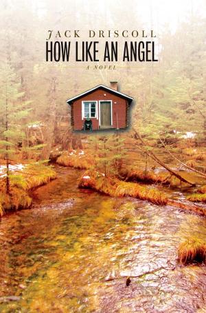 Cover of the book How Like an Angel by Cole Swensen