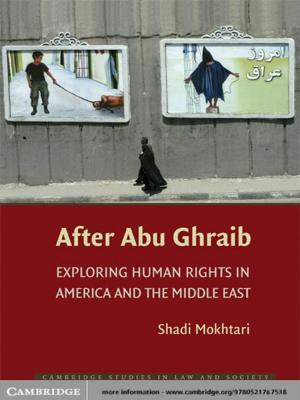 Cover of the book After Abu Ghraib by Derek Eamus, Alfredo Huete, Qiang Yu