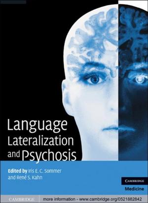 Cover of the book Language Lateralization and Psychosis by Gabriel Egan