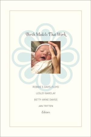 Cover of the book Birth Models That Work by John L. Geiger, Howard Suber