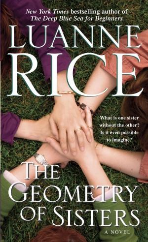 Cover of the book The Geometry of Sisters by Laurie Notaro