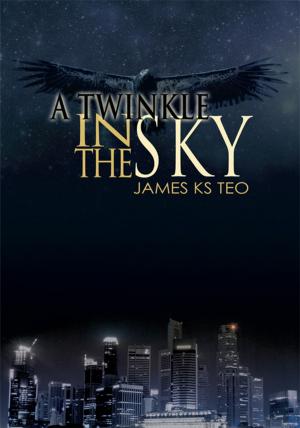 Cover of the book A Twinkle in the Sky by Sekina Mayu
