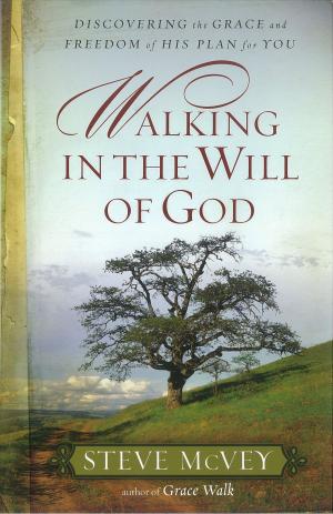Cover of the book Walking in the Will of God by Mindy Starns Clark