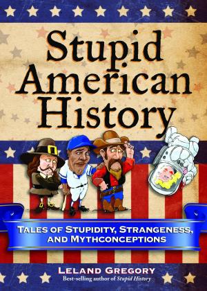 Cover of the book Stupid American History by Dustin Brady, Jesse Brady