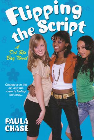 Cover of the book Flipping the Script by Rebecca Zanetti